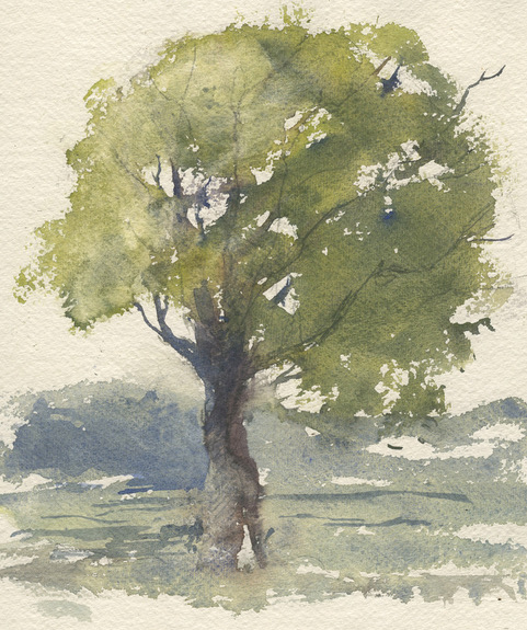 Beginners in Watercolour with Andrew Hucklesby PWS 27th February 2027